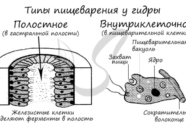 Кракен 16 вход