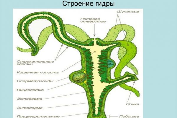 Как найти кракен шоп