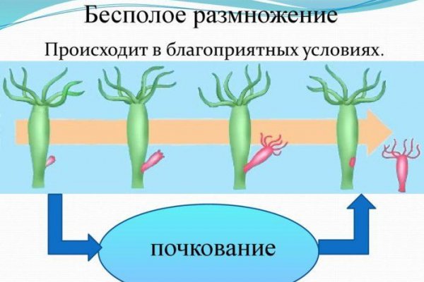 Кракен нарколог