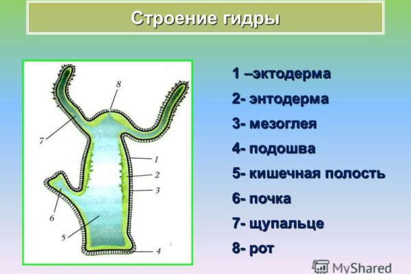 Кракен маркет тор